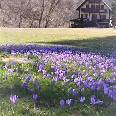Casa De Vacanta Satic Piatra Craiului La Doi Viermi 외부 사진