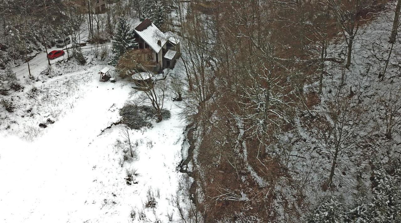 Casa De Vacanta Satic Piatra Craiului La Doi Viermi 외부 사진