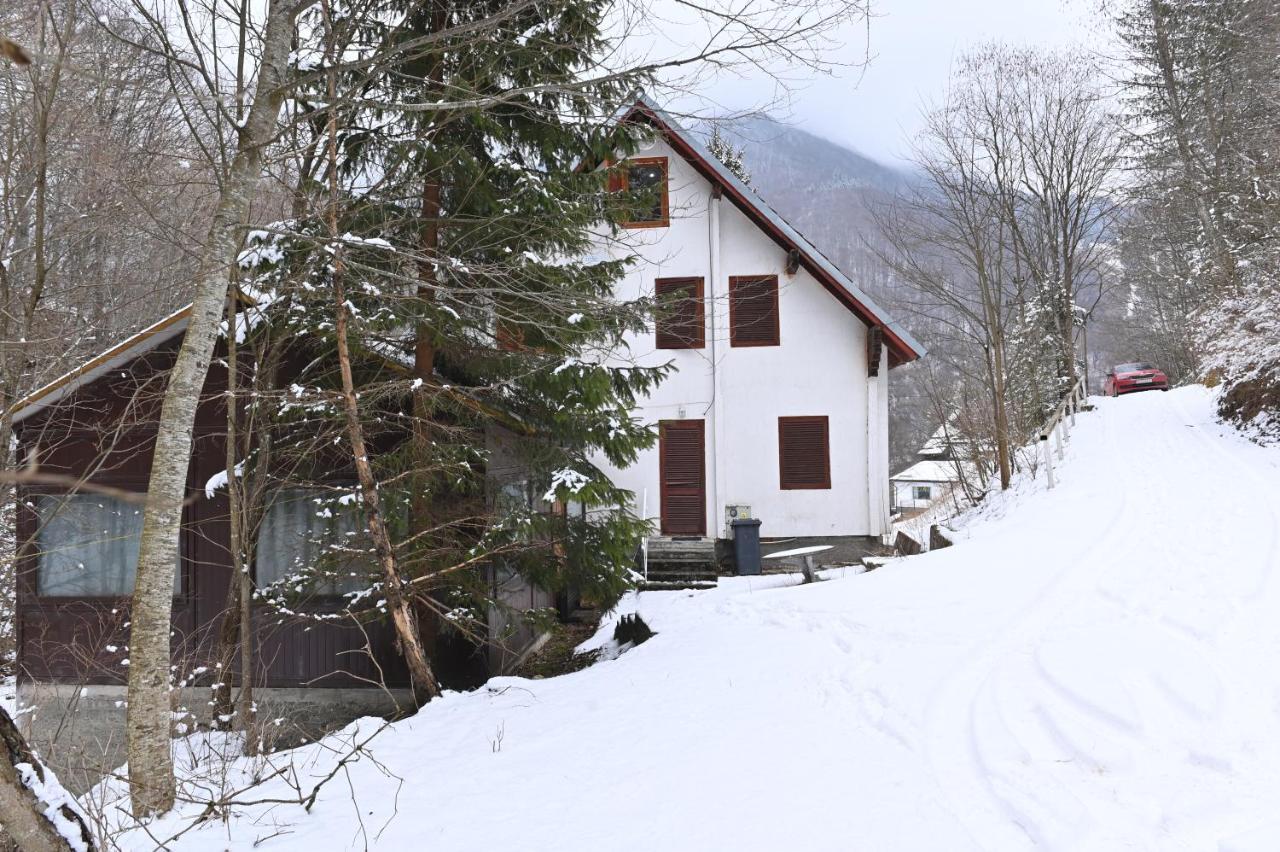 Casa De Vacanta Satic Piatra Craiului La Doi Viermi 외부 사진