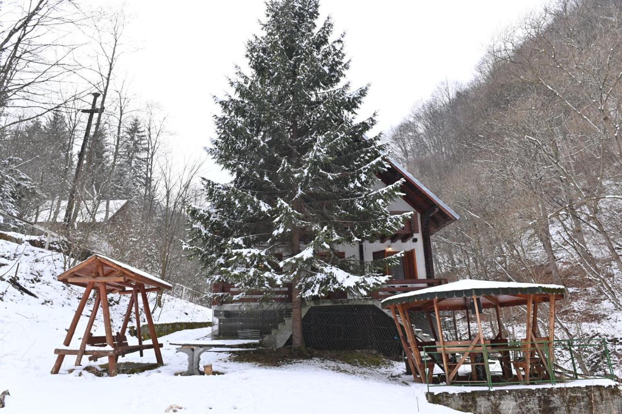 Casa De Vacanta Satic Piatra Craiului La Doi Viermi 외부 사진