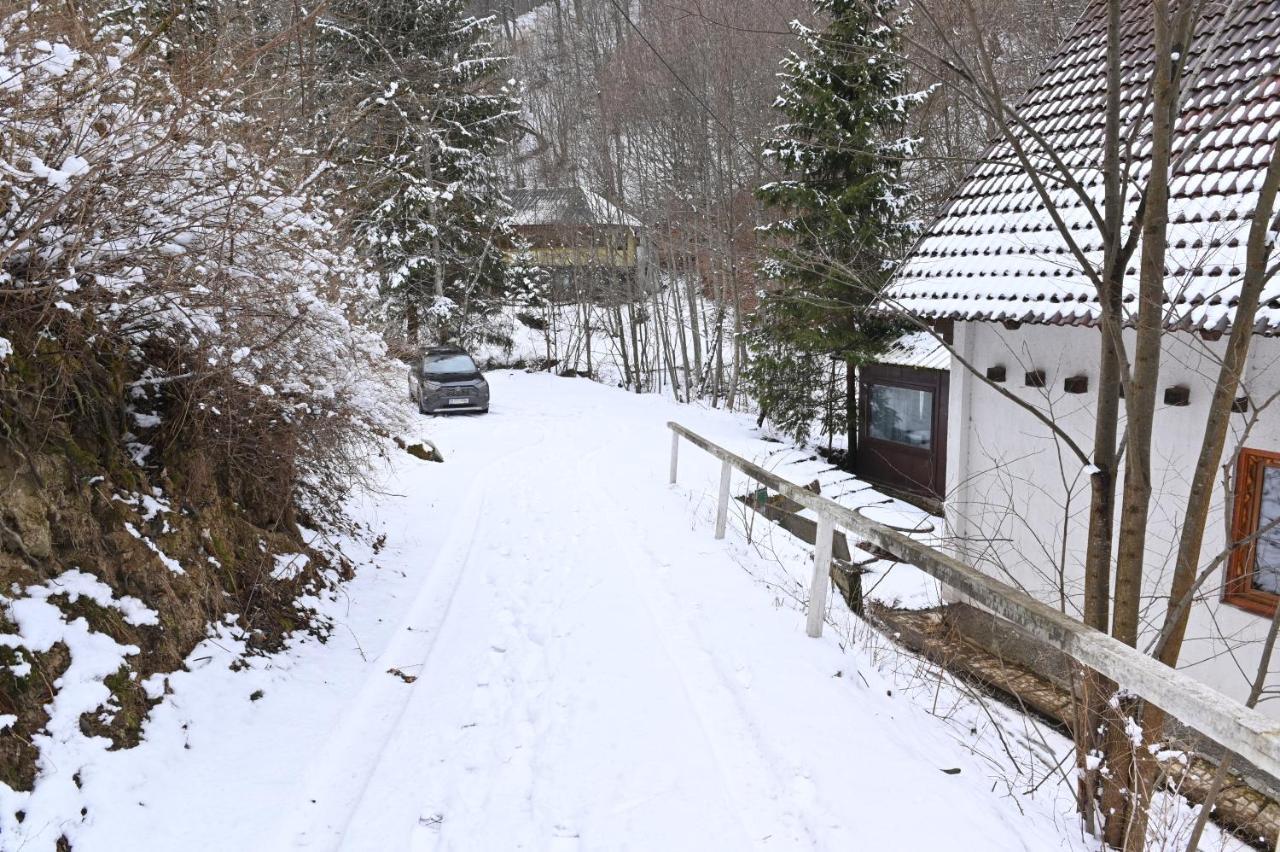 Casa De Vacanta Satic Piatra Craiului La Doi Viermi 외부 사진