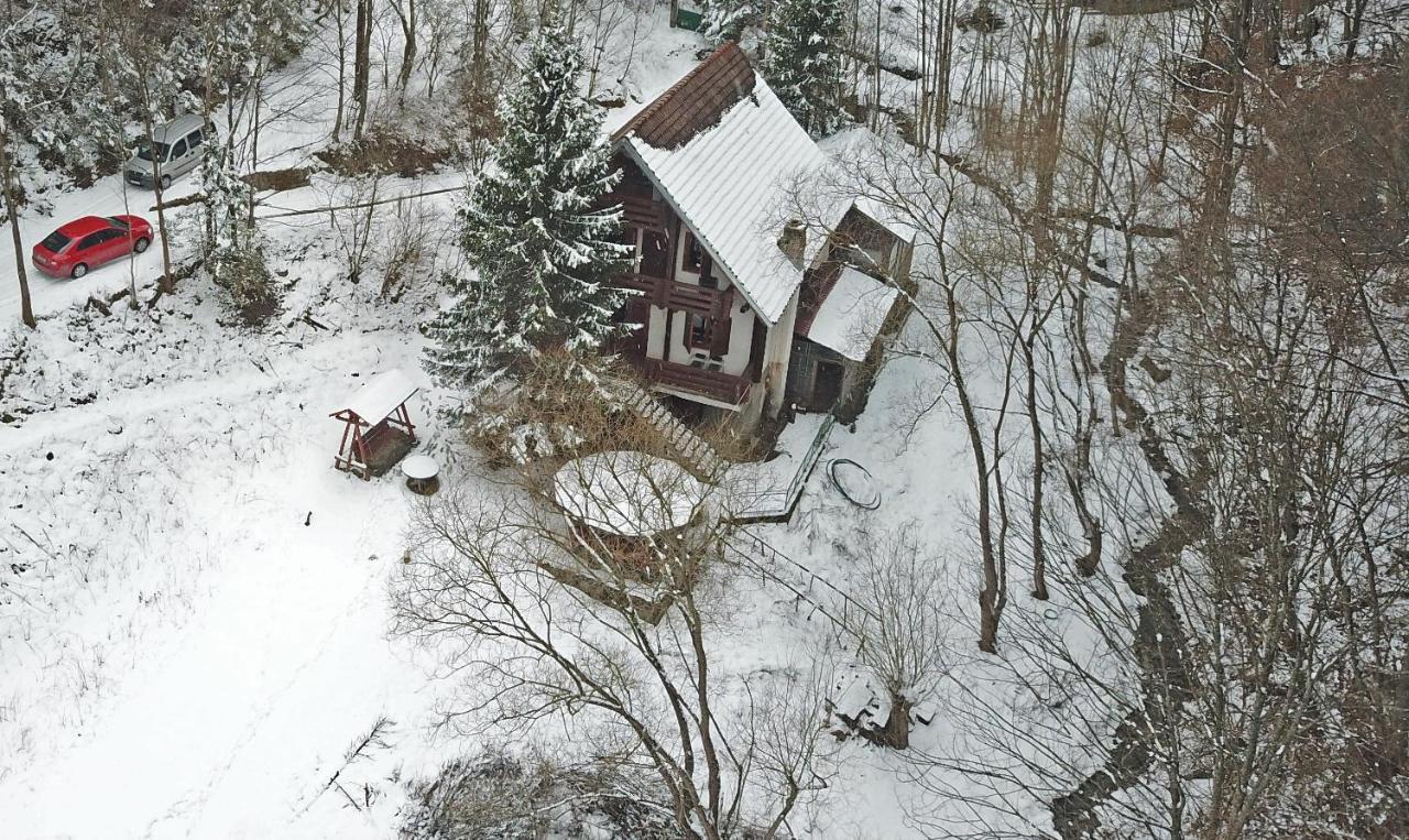Casa De Vacanta Satic Piatra Craiului La Doi Viermi 외부 사진
