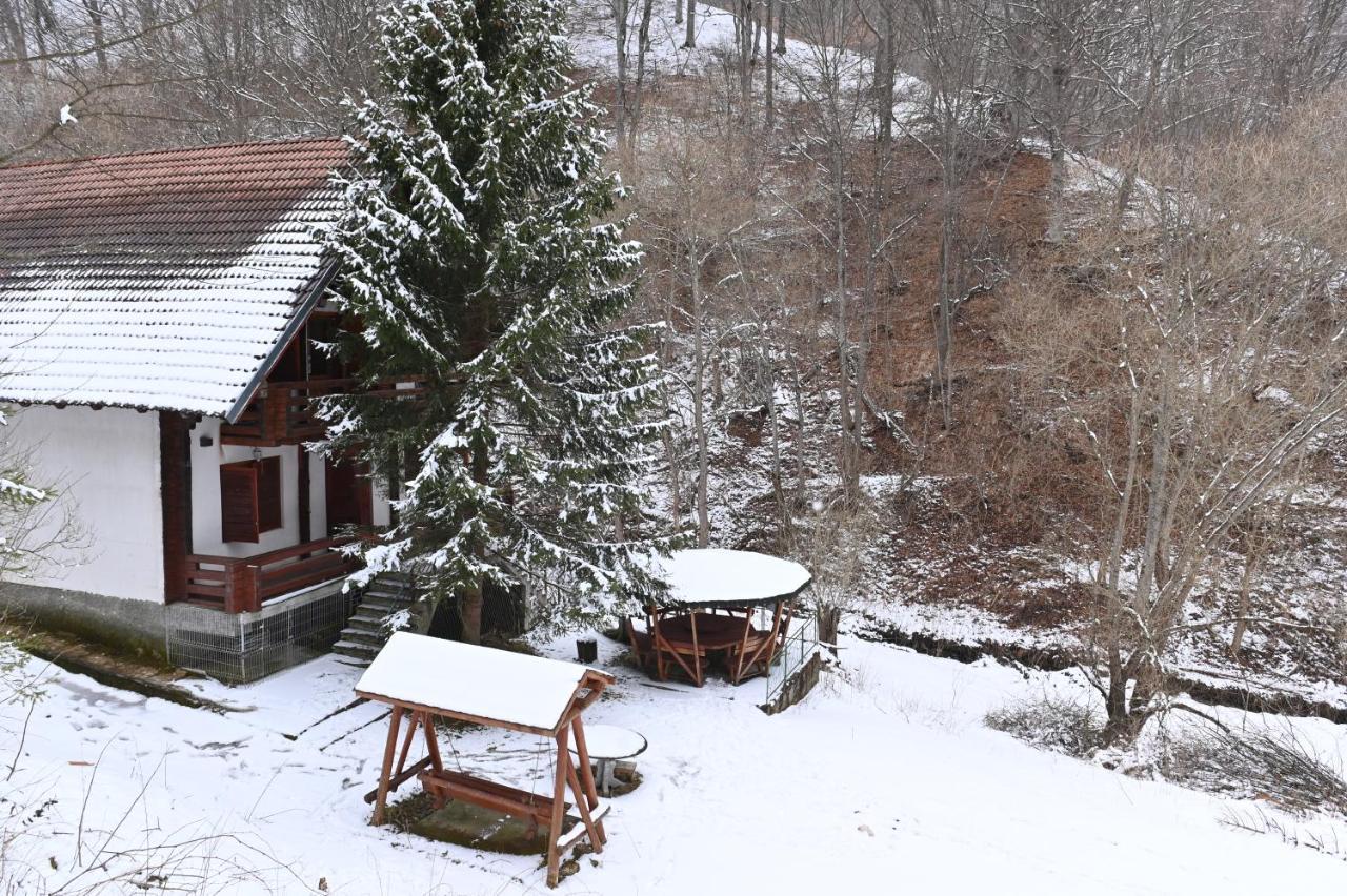 Casa De Vacanta Satic Piatra Craiului La Doi Viermi 외부 사진