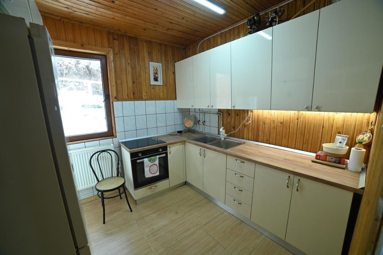 Casa De Vacanta Satic Piatra Craiului La Doi Viermi 외부 사진