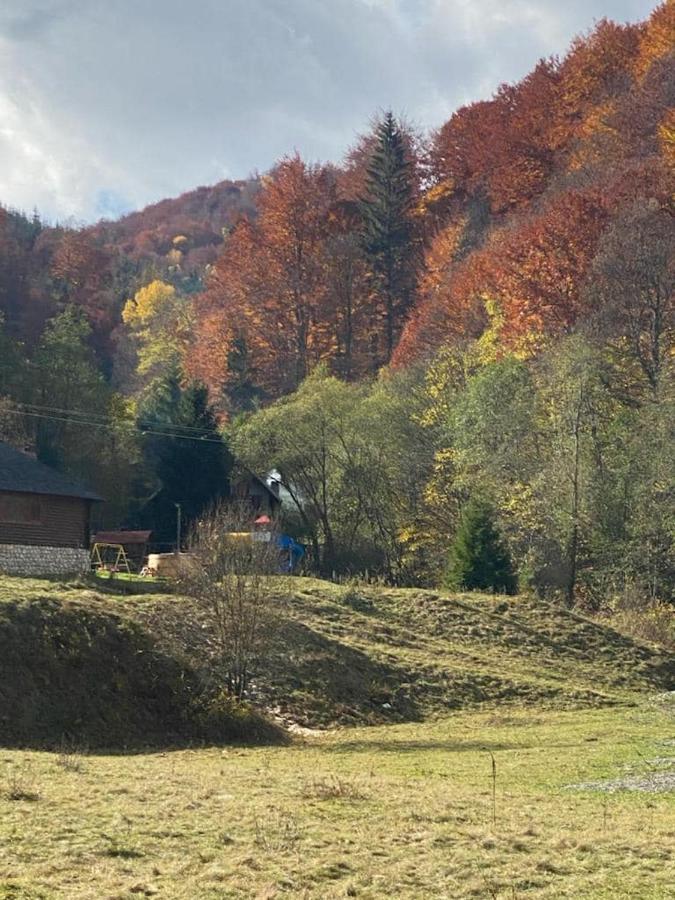 Casa De Vacanta Satic Piatra Craiului La Doi Viermi 외부 사진