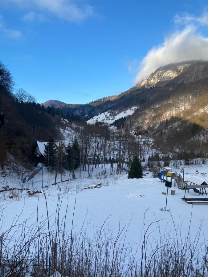 Casa De Vacanta Satic Piatra Craiului La Doi Viermi 외부 사진
