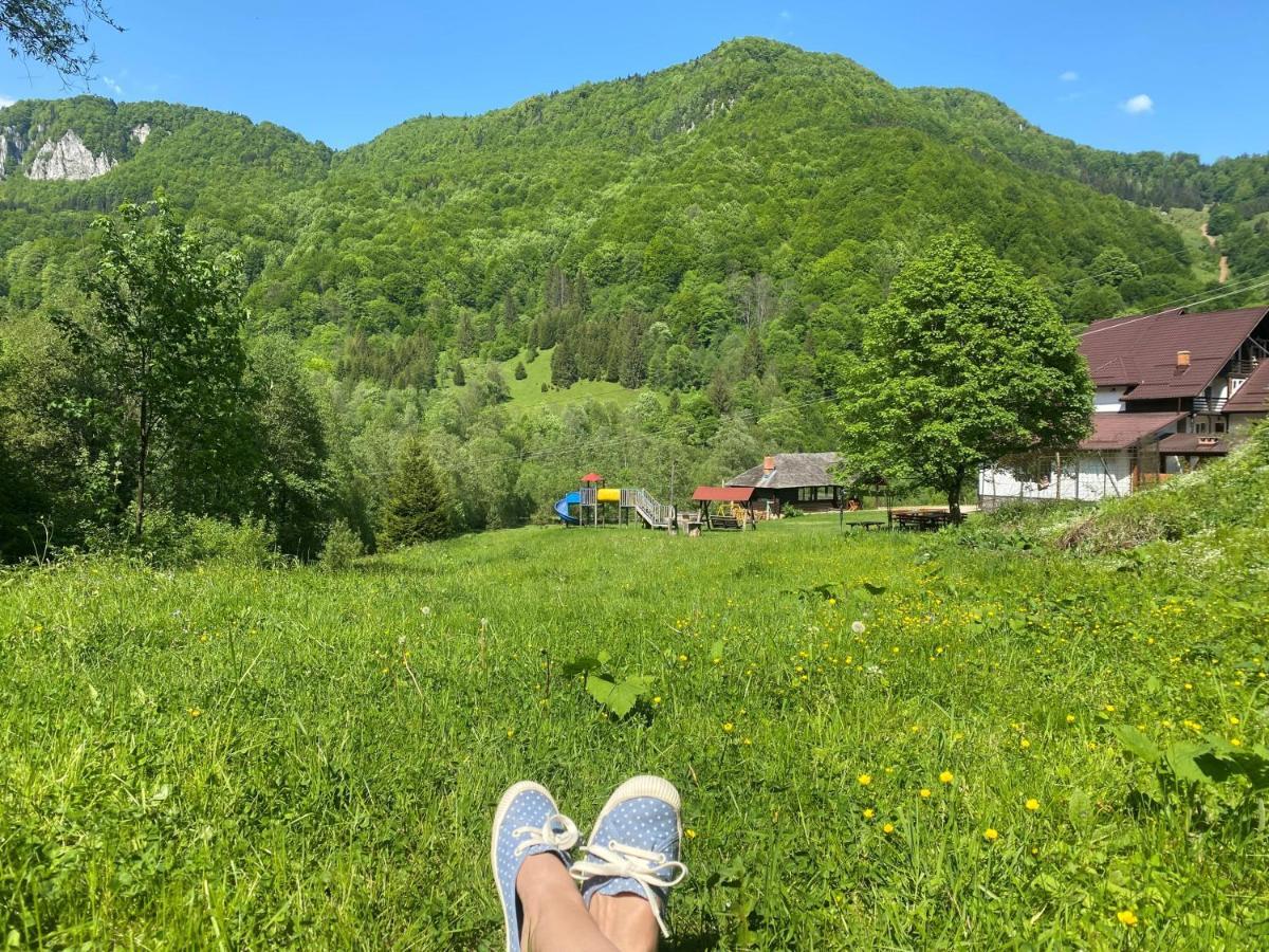 Casa De Vacanta Satic Piatra Craiului La Doi Viermi 외부 사진