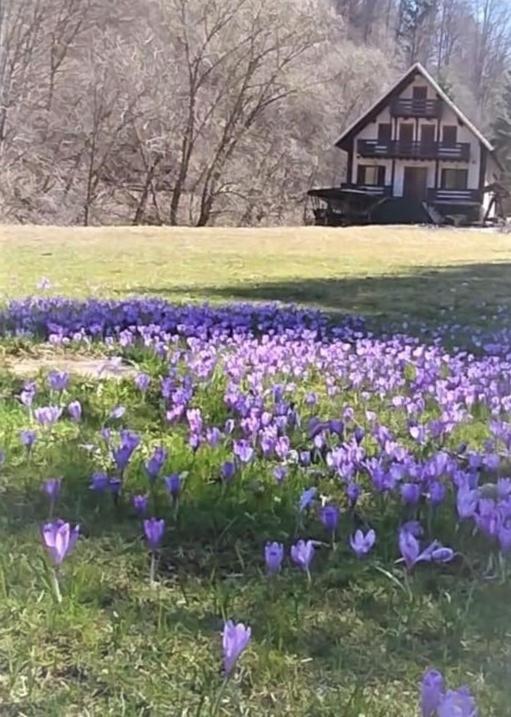 Casa De Vacanta Satic Piatra Craiului La Doi Viermi 외부 사진