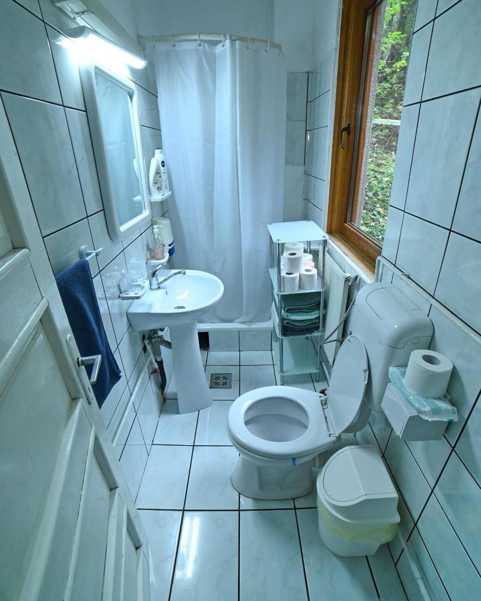 Casa De Vacanta Satic Piatra Craiului La Doi Viermi 외부 사진