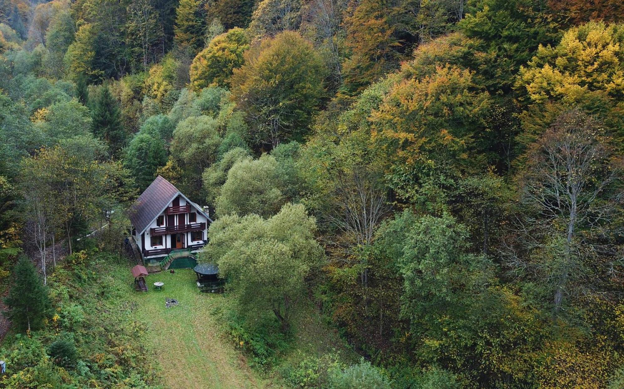 Casa De Vacanta Satic Piatra Craiului La Doi Viermi 외부 사진